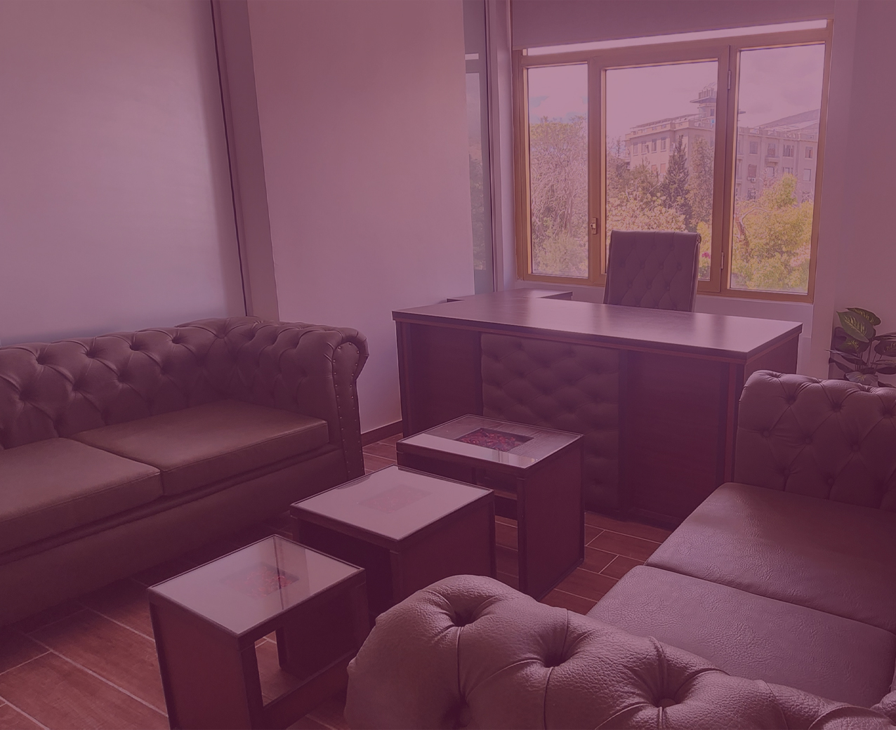 VIP office rental